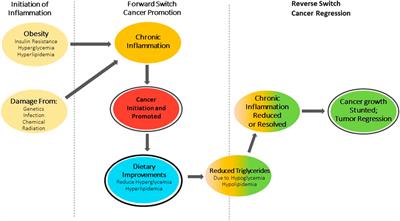 Cancer—A Pragmatic Switch to Combat Metabolic Syndrome?